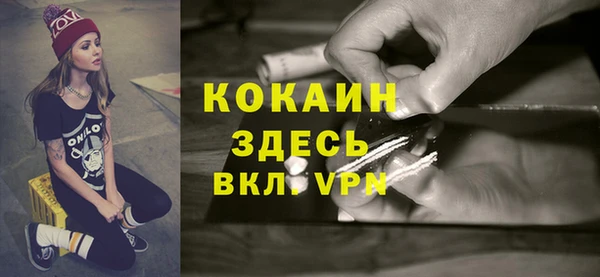 a pvp Пересвет