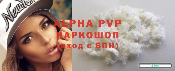 a pvp Пересвет