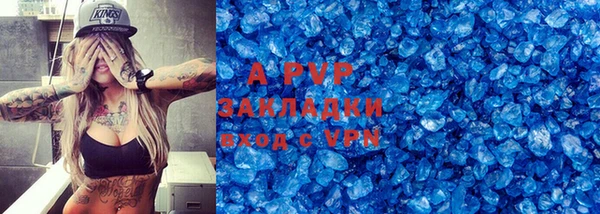 a pvp Пересвет