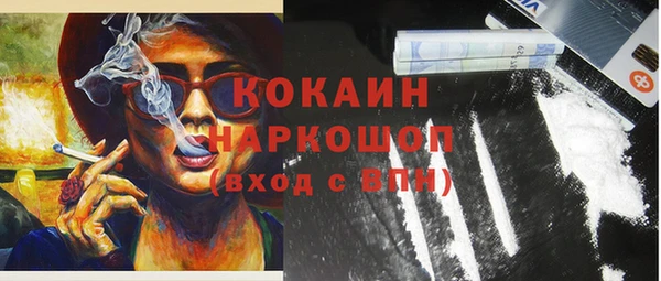a pvp Пересвет