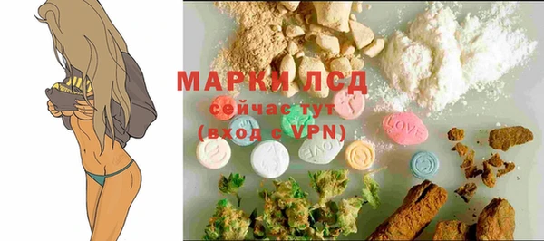 a pvp Пересвет