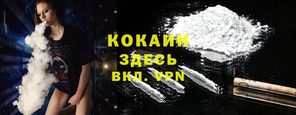 a pvp Пересвет