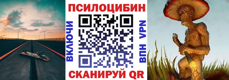 Галлюциногенные грибы Psilocybe  закладка  Павловская 